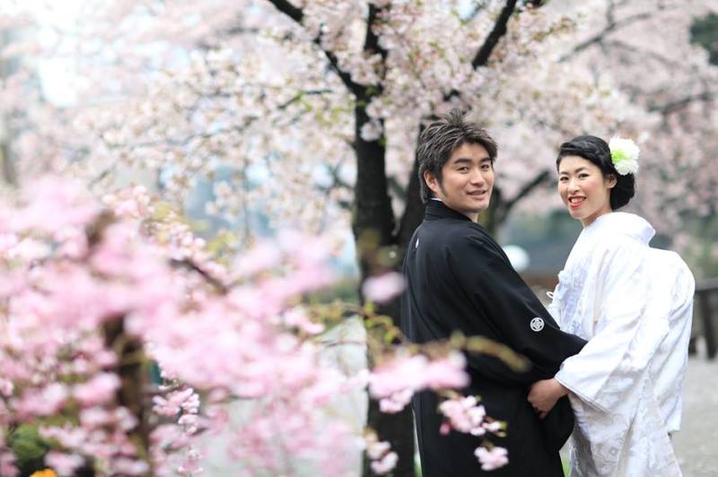 和室庭園ロケーションフォト・桜