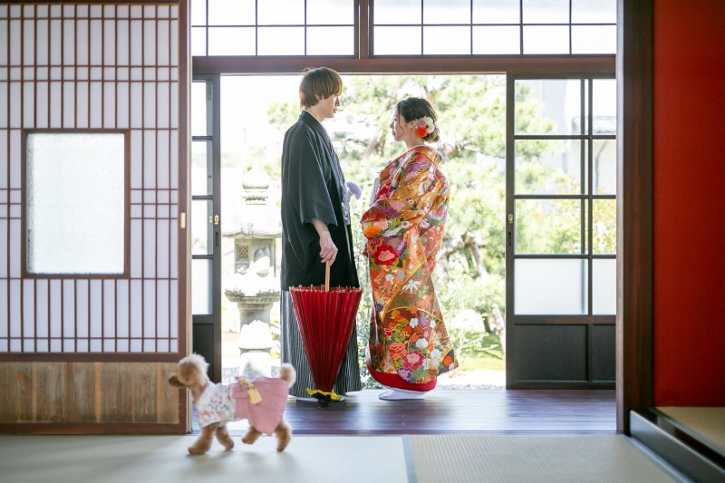 ワンちゃん通過中