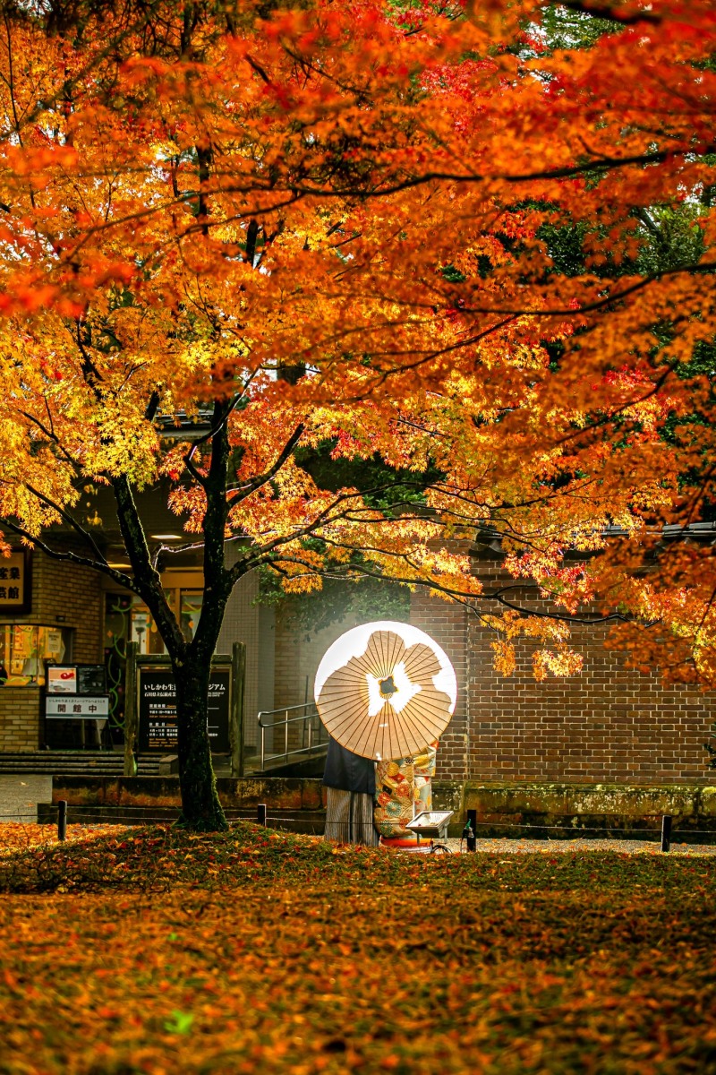 紅葉の中に光2つのシルエット