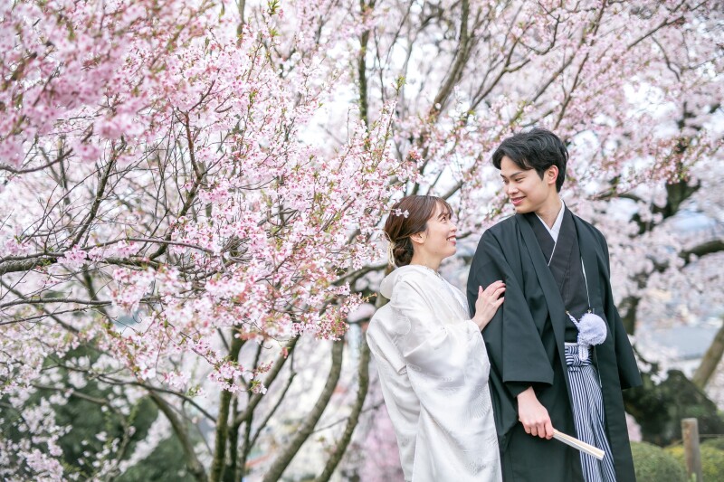 人気の桜、紅葉時期もシーズン料金、早朝料金無し！