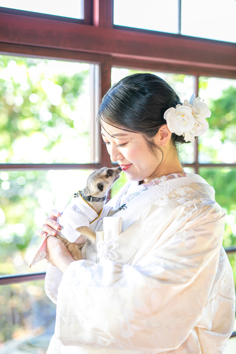 犬・猫以外のペットもご相談ください。