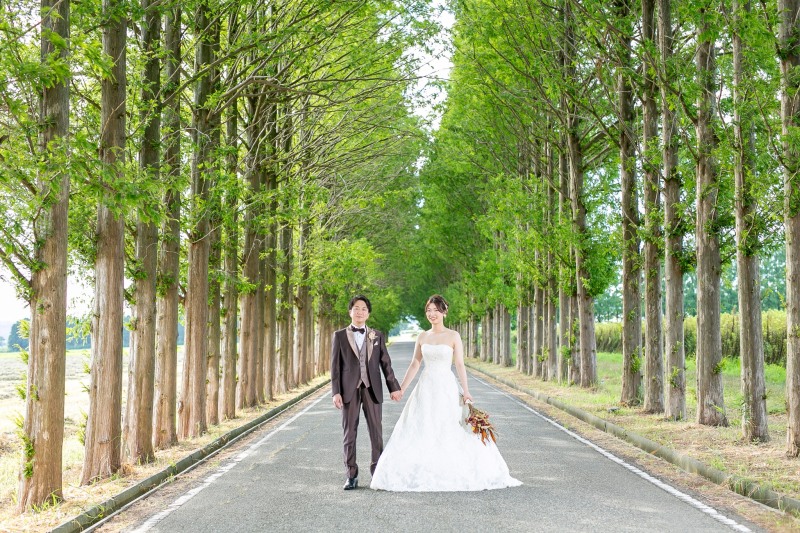 人気のメタセコイア並木道撮影!