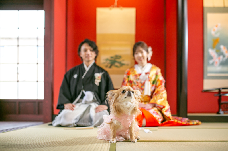 フォトスタジオ カクタス_ペットと一緒に撮影できる