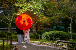 フォトスタジオ カクタス_兼六園前撮り1