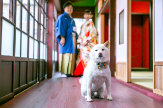 ペットとの記念撮影