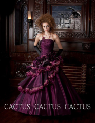 新婦洋装衣裳追加