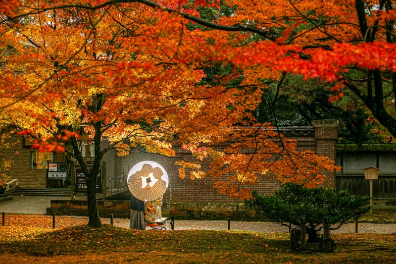 多彩な撮影シーン
