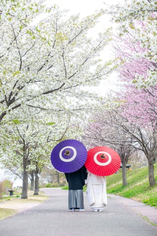 フォトスタジオ カクタス_大乗寺丘陵公園