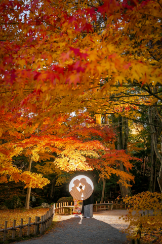 フォトスタジオ カクタス_兼六園ロケーションフォト