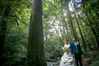 フォトスタジオ カクタス　金沢店_七ツ滝