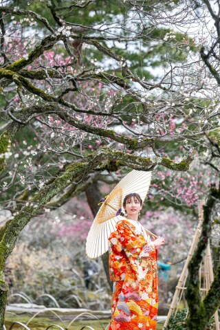 フォトスタジオ カクタス　金沢店_3月梅林ロケーションフォト