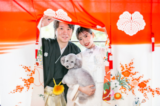 フォトスタジオ カクタス_和室庭園スタジオフォト
