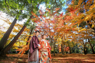 紅葉時期の兼六園。その時々で一番綺麗に見える方法で撮影をしています。