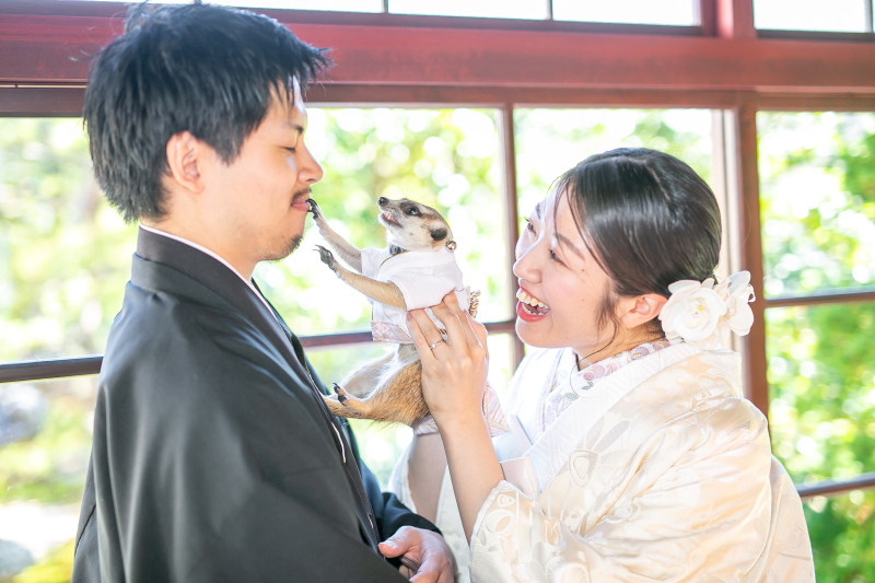 ペット撮影可!データ200枚込み!和室庭園撮影プラン(雨天延期無料)