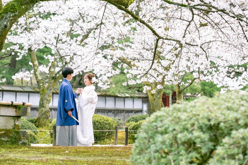 4月中旬まで限定!桜ロケーションフォトプラン