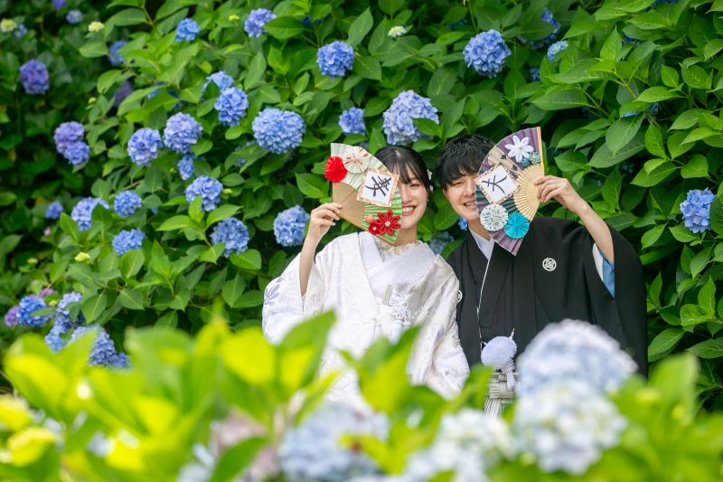 6月末までのお申し込み限定!紫陽花ロケーションフォトプラン♪(雨天延期無料・土日祝¥11,000割引あり)
