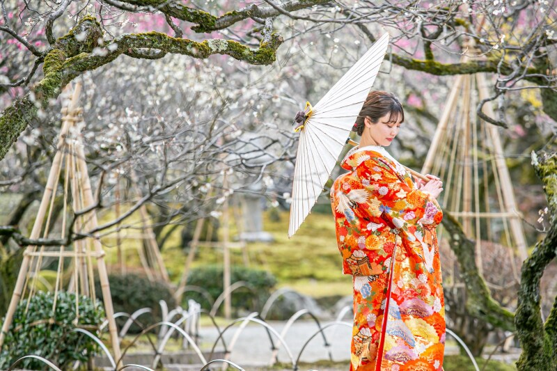 2・3月限定!兼六園梅林フォトプラン♪(2月末まで土日料金・商品50%OFF!)