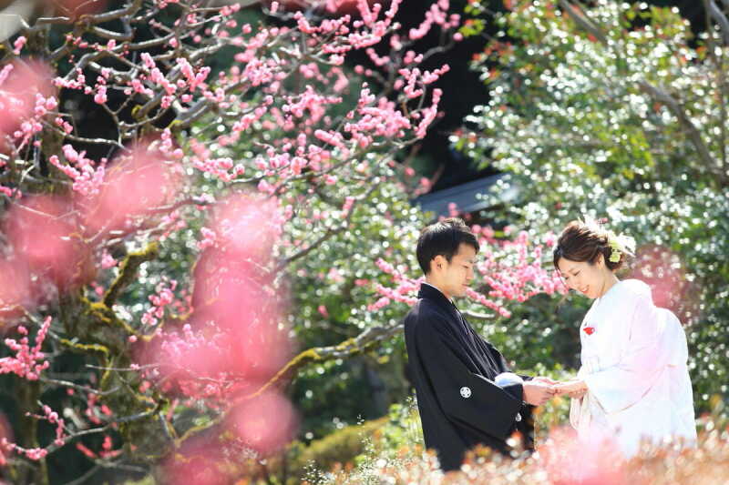 2・3月限定!兼六園梅林フォトプラン♪(2月末まで土日料金・商品50%OFF!)