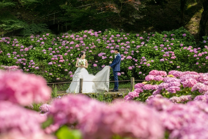 洋和装ロケーションフォトプラン(雨天延期無料)衣装差額なし!