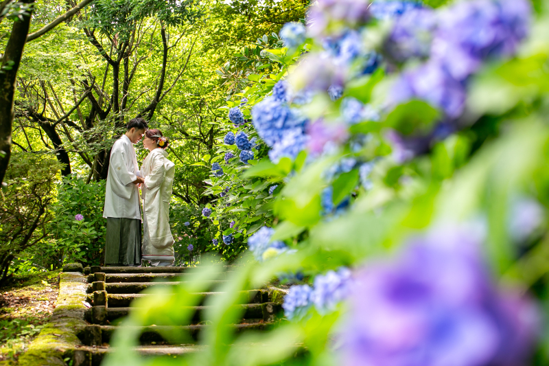 6月末までのお申し込み限定!紫陽花ロケーションフォトプラン♪(雨天延期無料・土日祝¥11,000割引あり)