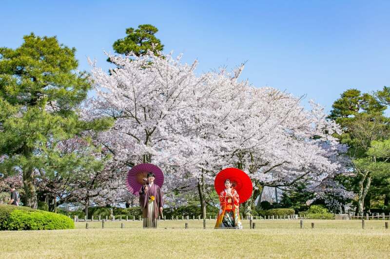 4月中旬まで限定!桜ロケーションフォトプラン