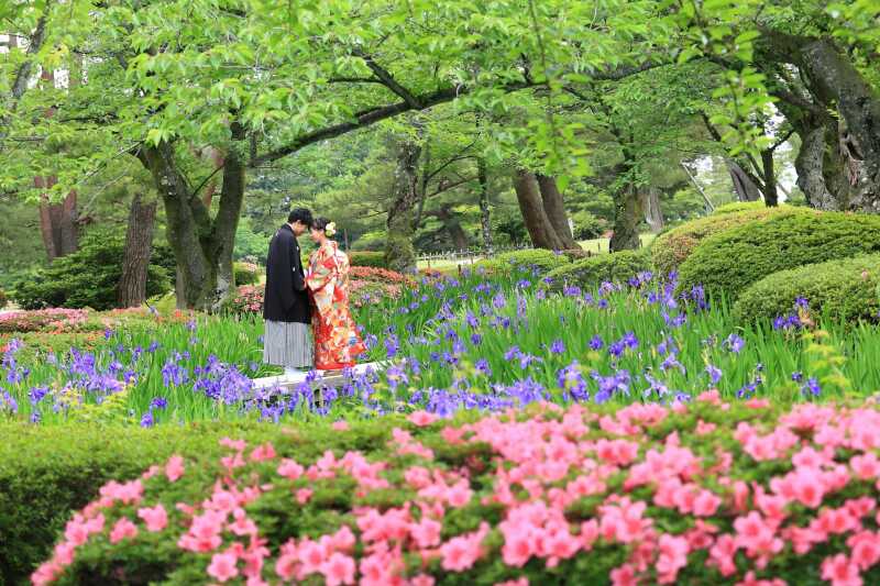 5月撮影!新緑ロケーションフォトプラン♪(雨天延期無料)