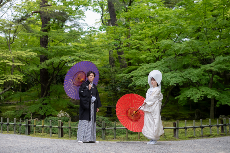 夏の兼六園は新緑が魅力!