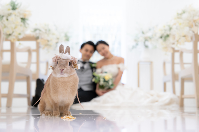 ペット撮影はワンちゃんとネコちゃん以外もOK！