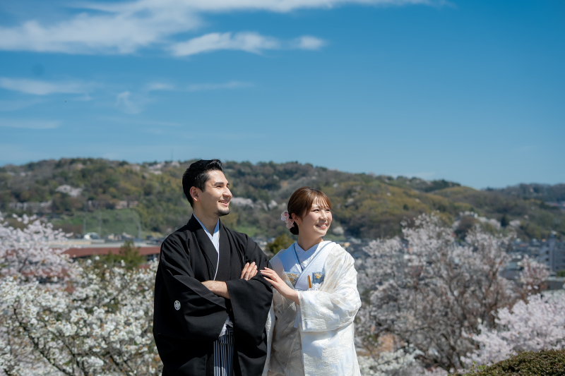 青空と満開の桜