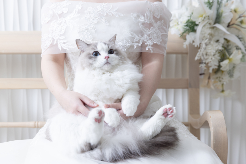 お2人の晴れ姿見守ります！