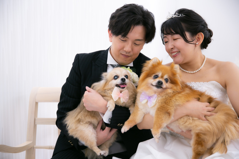 わんちゃんもおめかし♪