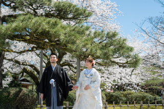 兼六園で桜前撮り