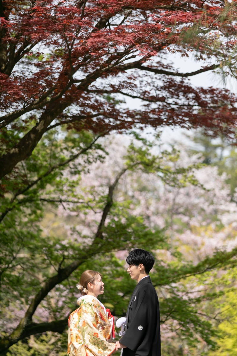 コントラストにうっとり。