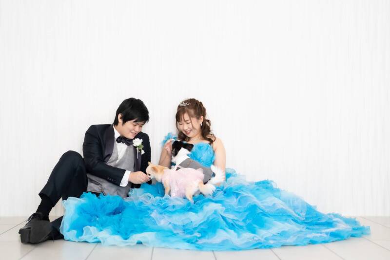 大切な家族のわんちゃんと