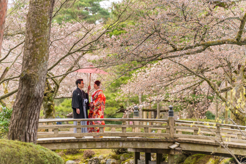 兼六園の魅力再発見