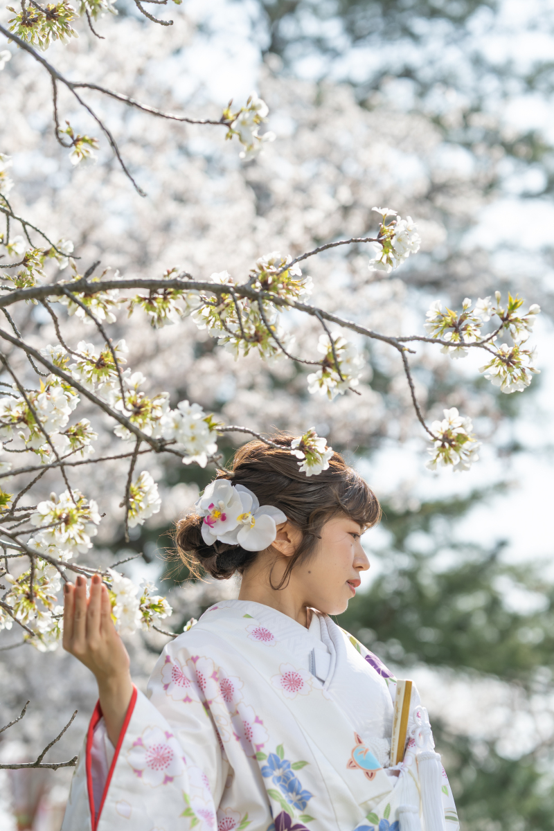 満開の桜の中で…