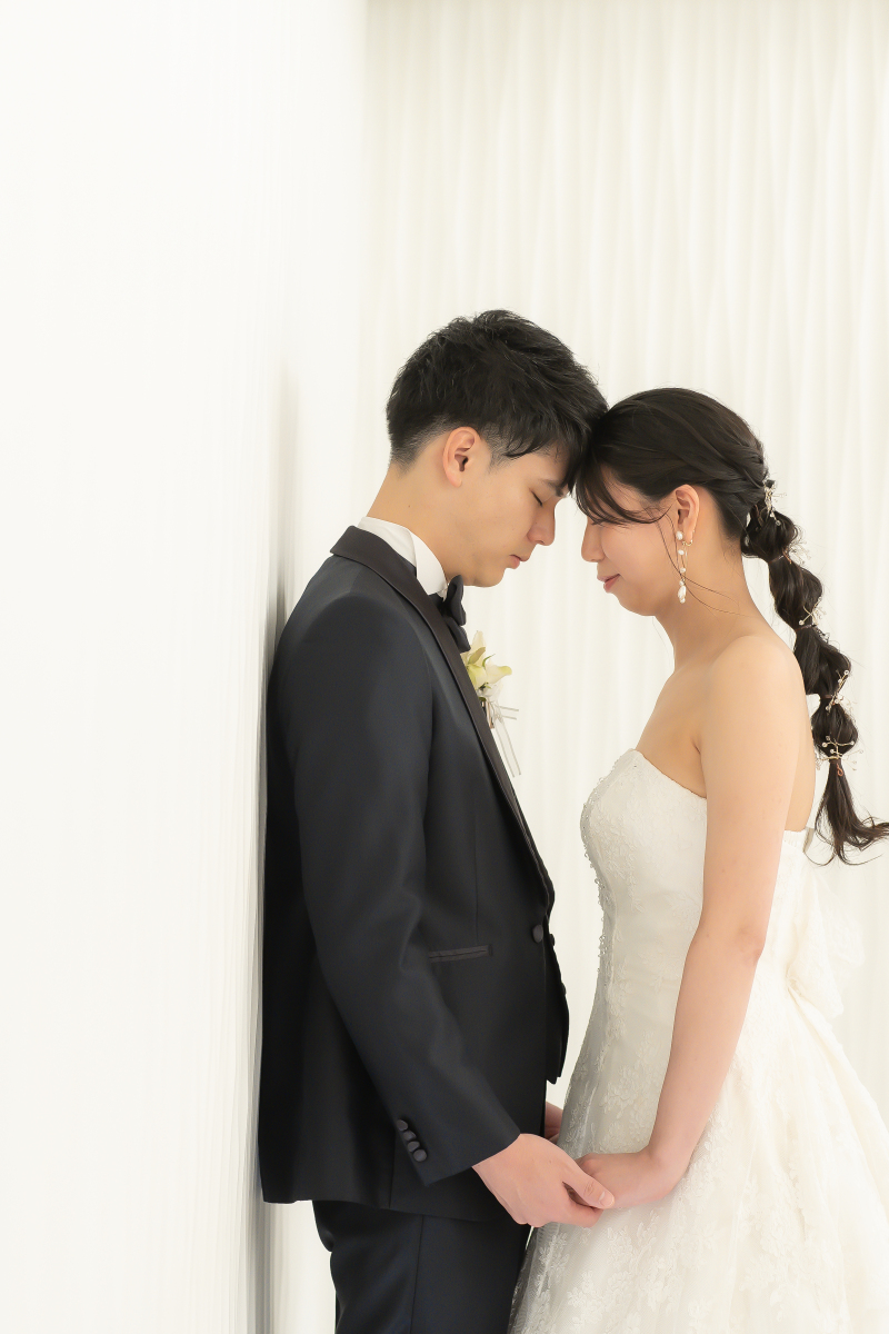 【大株】アガベ フェロックスベルビレ1（写真9月7日撮影） Yahoo!オークション -「ベルビル」(アガベ) (観葉植物)の落札