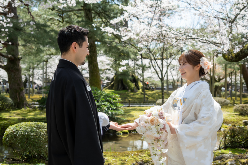 新緑×満開の桜