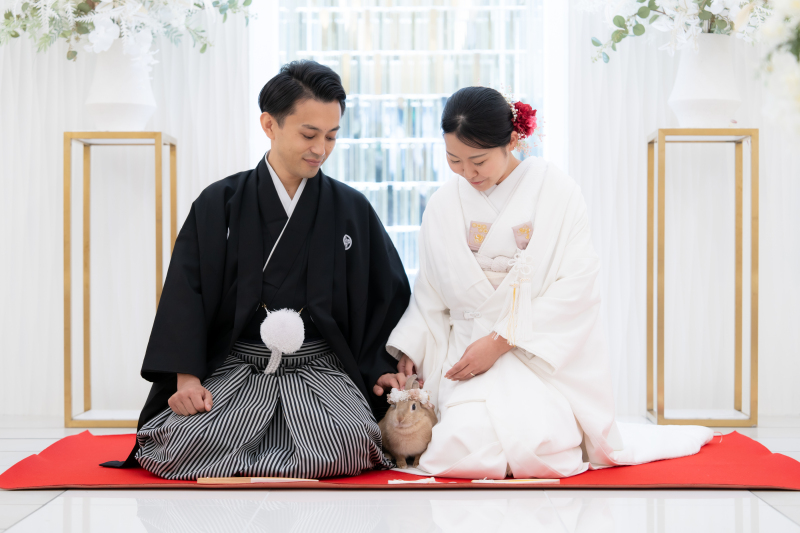 撮影のタイミングは自由に！