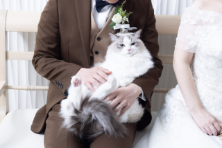 小さな結婚式 金沢店_ペット撮影