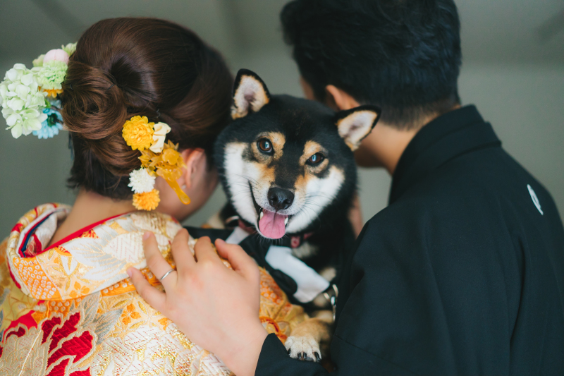 【通常プラン】和装１着_チャペルフォトプラン｜全50データ付き☆