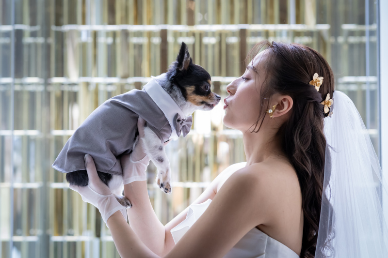 ◆基本料50%オフ◆洋装２着_チャペルフォトプラン｜全データ＆アルバム１冊付き☆