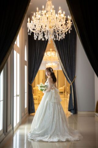 FE80　acacia アカシア