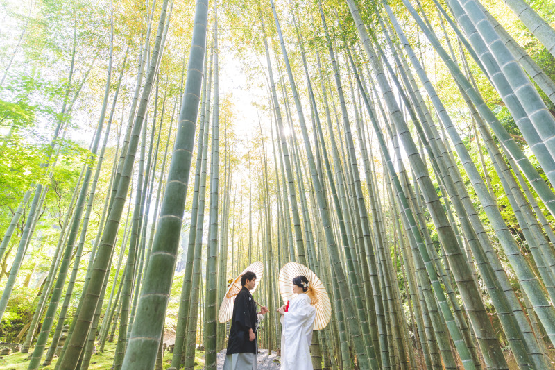 雄大な竹林の中で