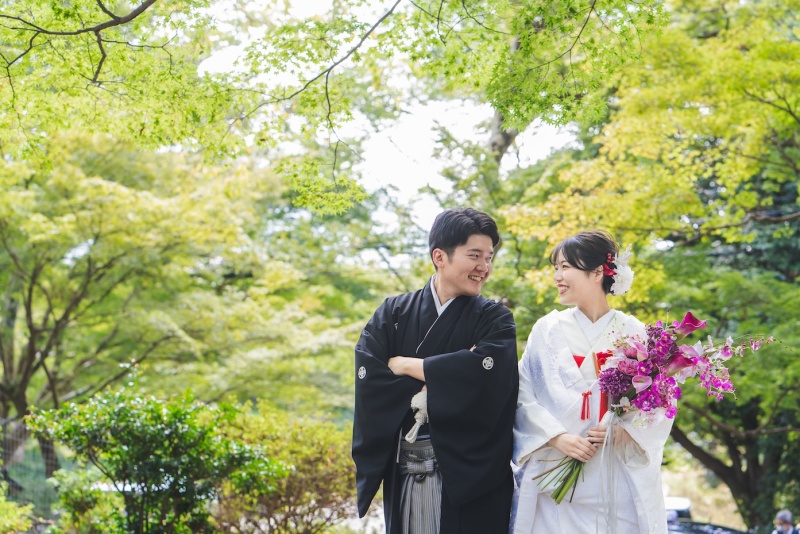 鮮やかな青紅葉