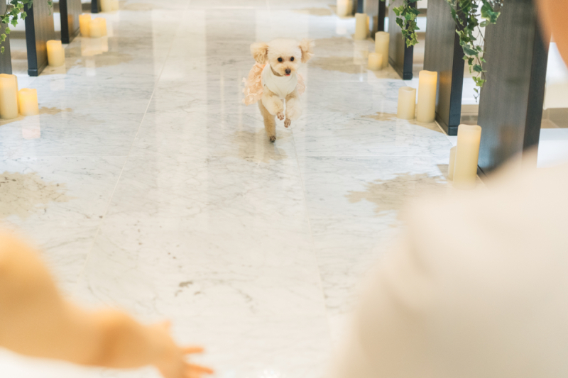 リングドックのシーンも再現