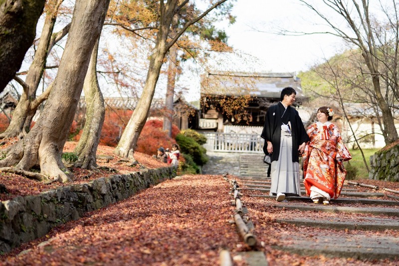 紅葉の絨毯の石階段