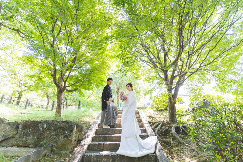 智積院外の緑と