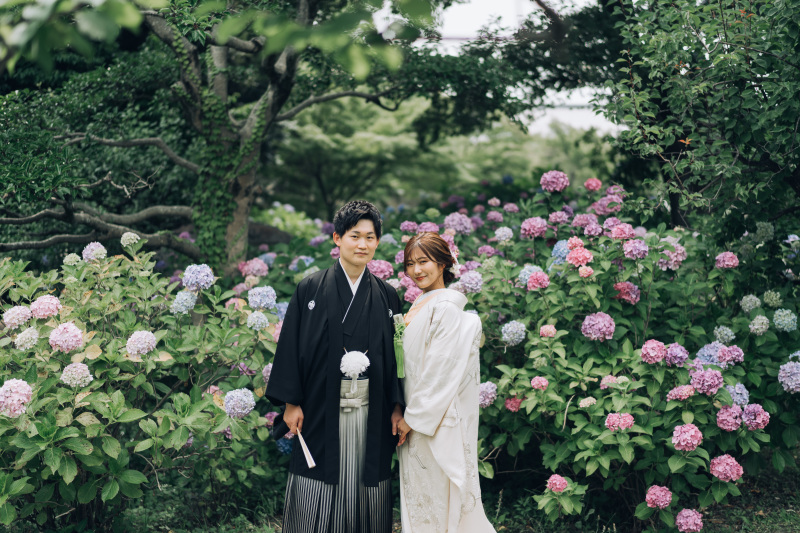 紫陽花を背景に