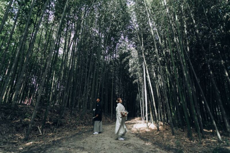 竹林では差し込む光と緑あふれる特別な雰囲気で